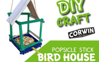 Popsicle Stick Birdhouse Craft